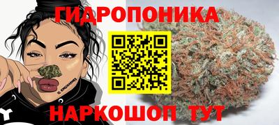 дживик Донецк