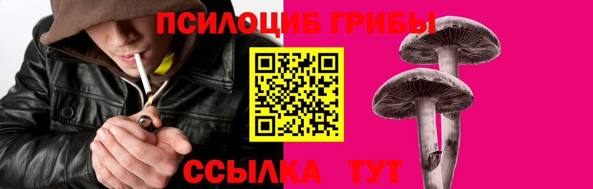 Выкса  Псилоцибиновые грибы ЛСД  Вход с VPN 